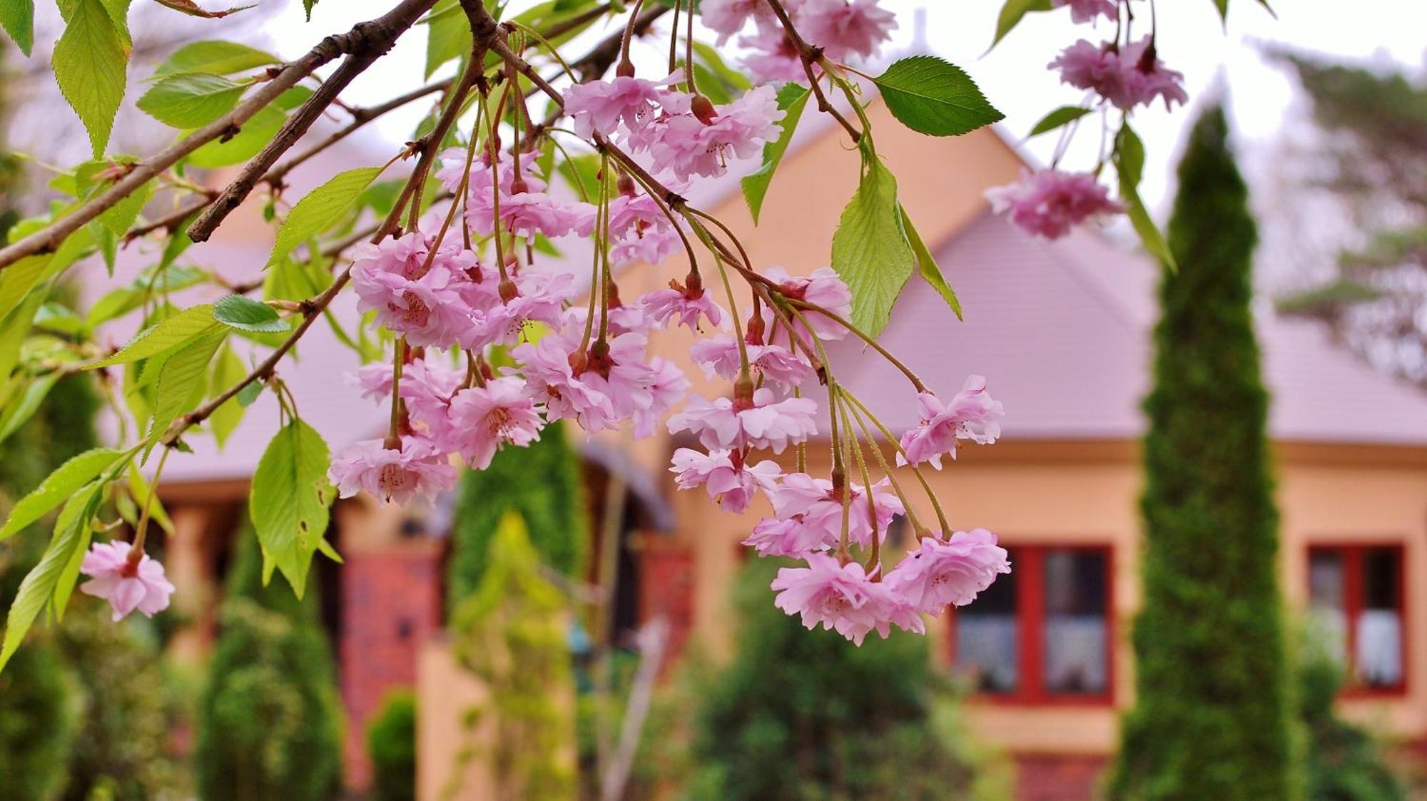 Aromatic Garden Villa La Poltrona Nasu Dış mekan fotoğraf