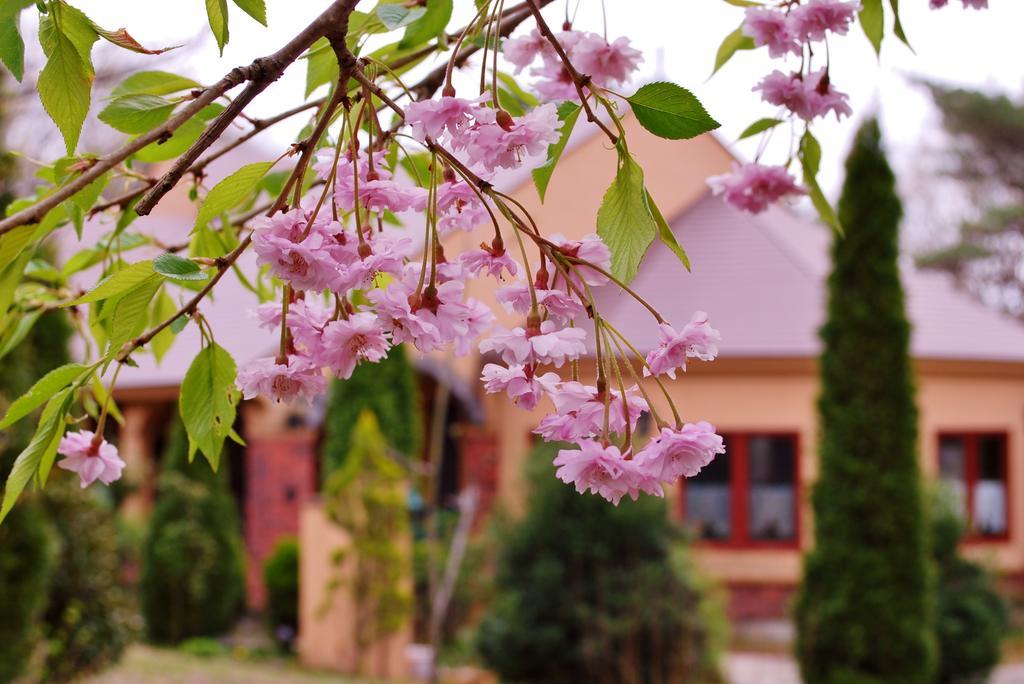 Aromatic Garden Villa La Poltrona Nasu Dış mekan fotoğraf