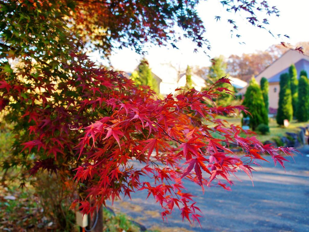 Aromatic Garden Villa La Poltrona Nasu Dış mekan fotoğraf