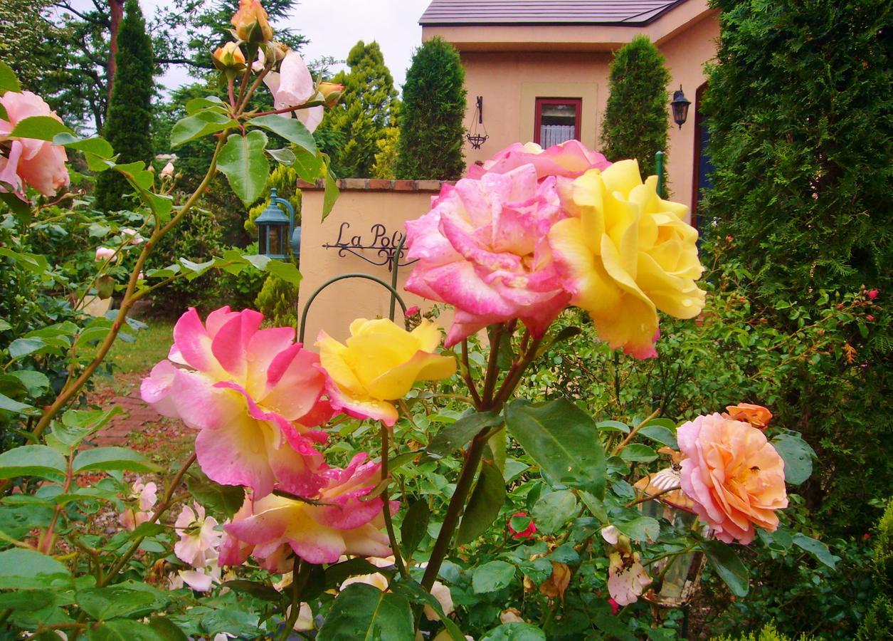 Aromatic Garden Villa La Poltrona Nasu Dış mekan fotoğraf