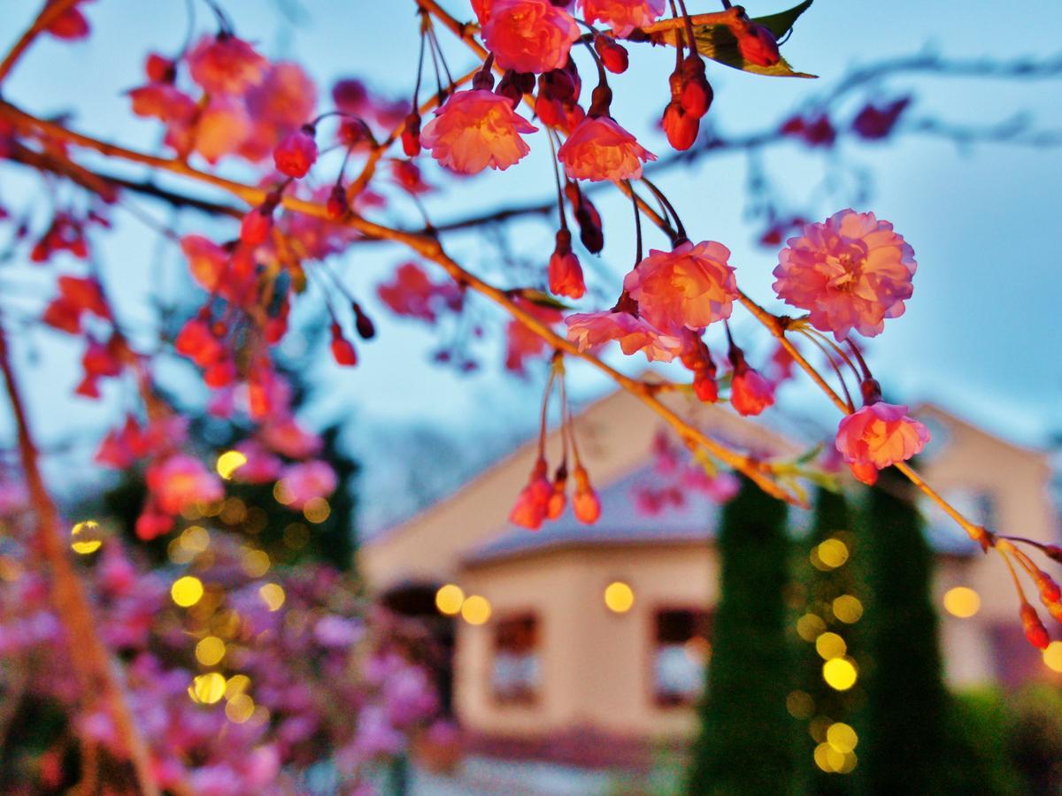 Aromatic Garden Villa La Poltrona Nasu Dış mekan fotoğraf