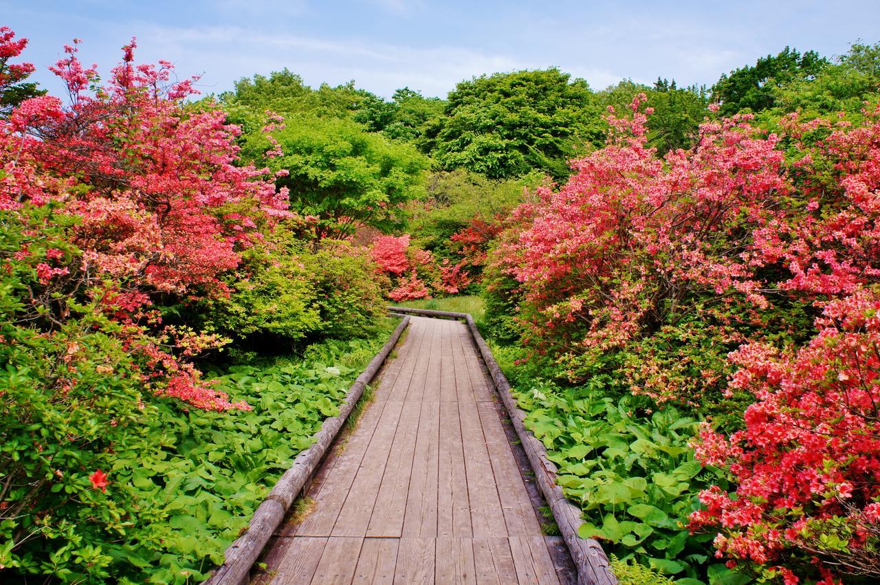 Aromatic Garden Villa La Poltrona Nasu Dış mekan fotoğraf