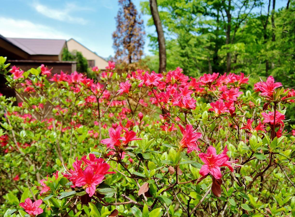 Aromatic Garden Villa La Poltrona Nasu Dış mekan fotoğraf