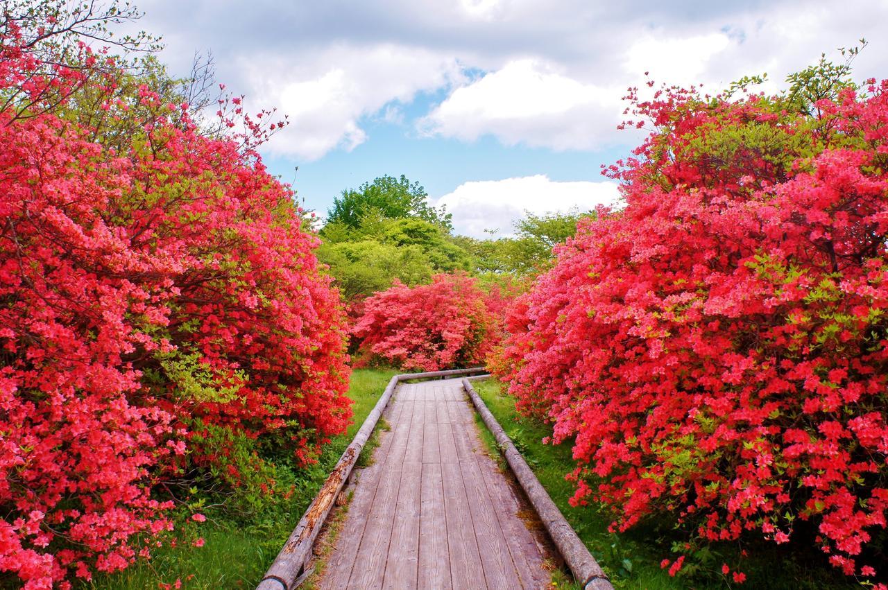 Aromatic Garden Villa La Poltrona Nasu Dış mekan fotoğraf