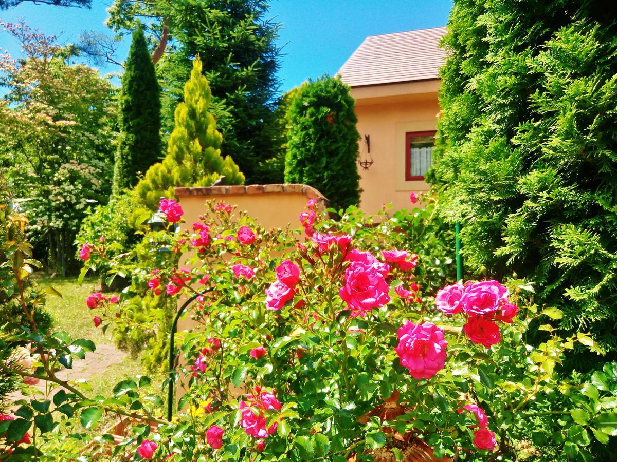 Aromatic Garden Villa La Poltrona Nasu Dış mekan fotoğraf